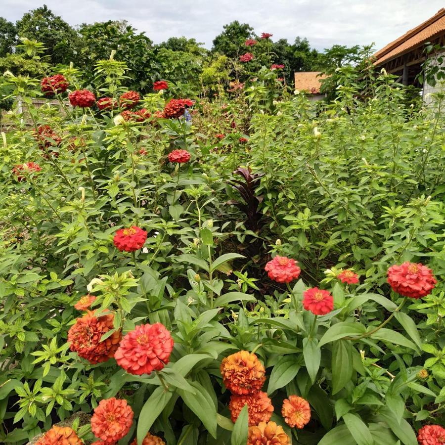 Marind Dive Eco Resort Waha ภายนอก รูปภาพ