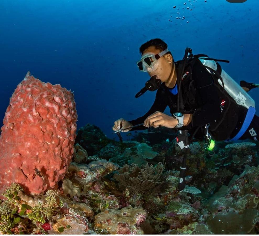 Marind Dive Eco Resort Waha ภายนอก รูปภาพ