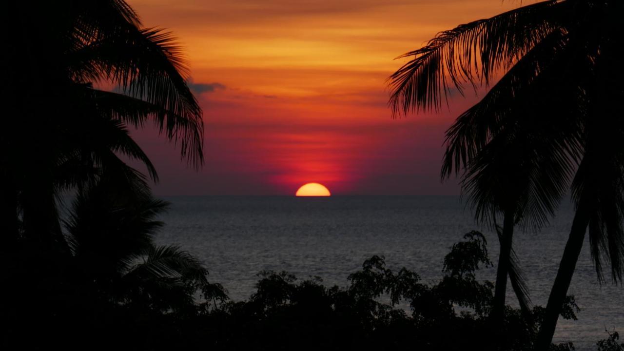 Marind Dive Eco Resort Waha ภายนอก รูปภาพ